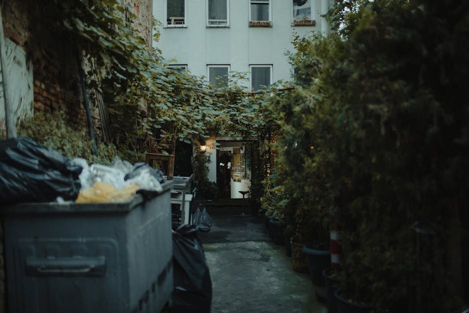 The image depicts an outdoor area with a large pile of flattened cardboard boxes, primarily fruit and vegetable packaging with colorful printed labels, stacked haphazardly on a paved surface. Surround